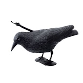Stocker rasterivač ptica vrana A4539